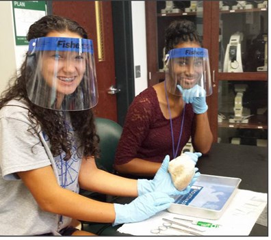 Students in a classroom working on a project