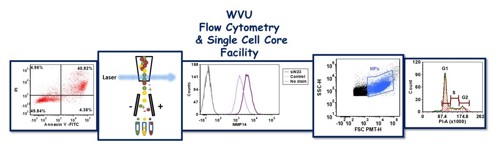 Flowcore Banner Logo